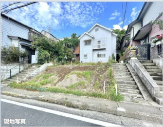 ���n�y�n�ʐ^�@-