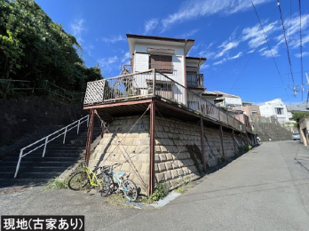 ���n�y�n�ʐ^�@-