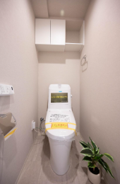 �g�C���@-